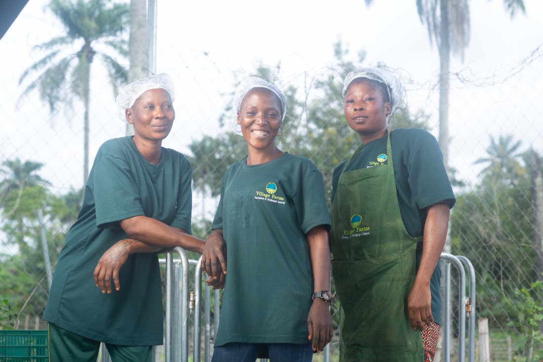 Three women farm workers together at the farm
